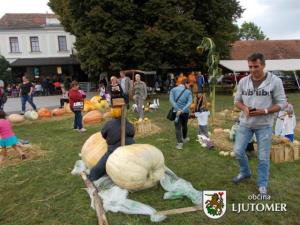 TD Stara Cesta pripravilo 14. Bučarijo 9